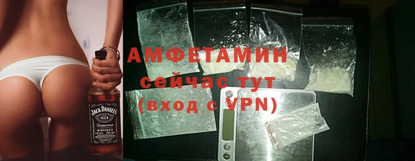 соль ск Инсар