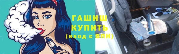 соль ск Инсар