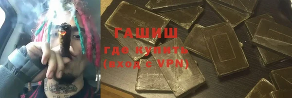 соль ск Инсар