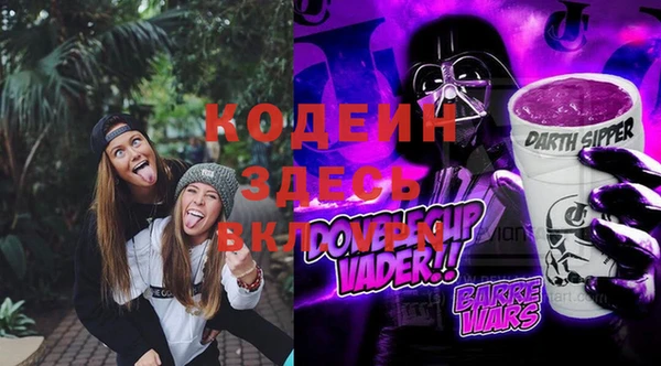 соль ск Инсар