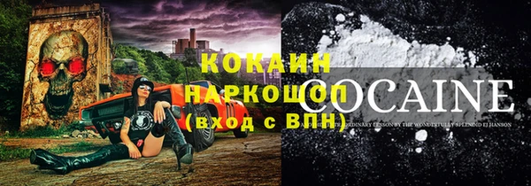 соль ск Инсар