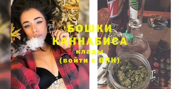 соль ск Инсар