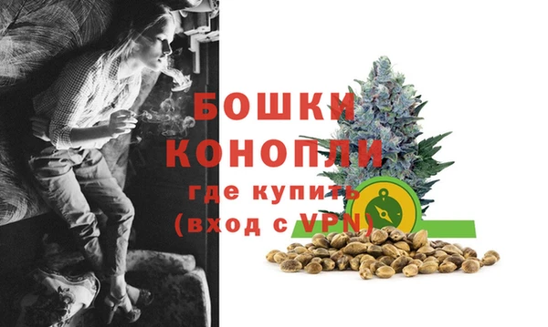 соль ск Инсар