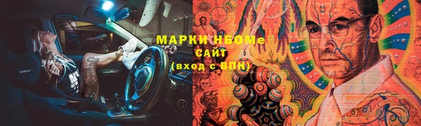 соль ск Инсар