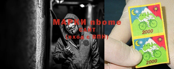 соль ск Инсар