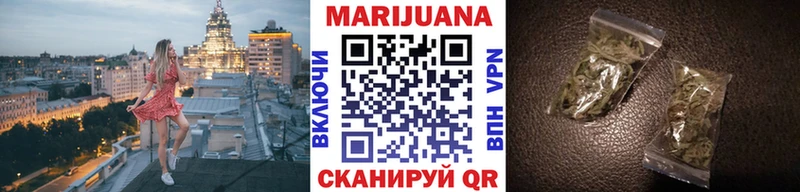 Каннабис сатива  Купить  Михайлов 
